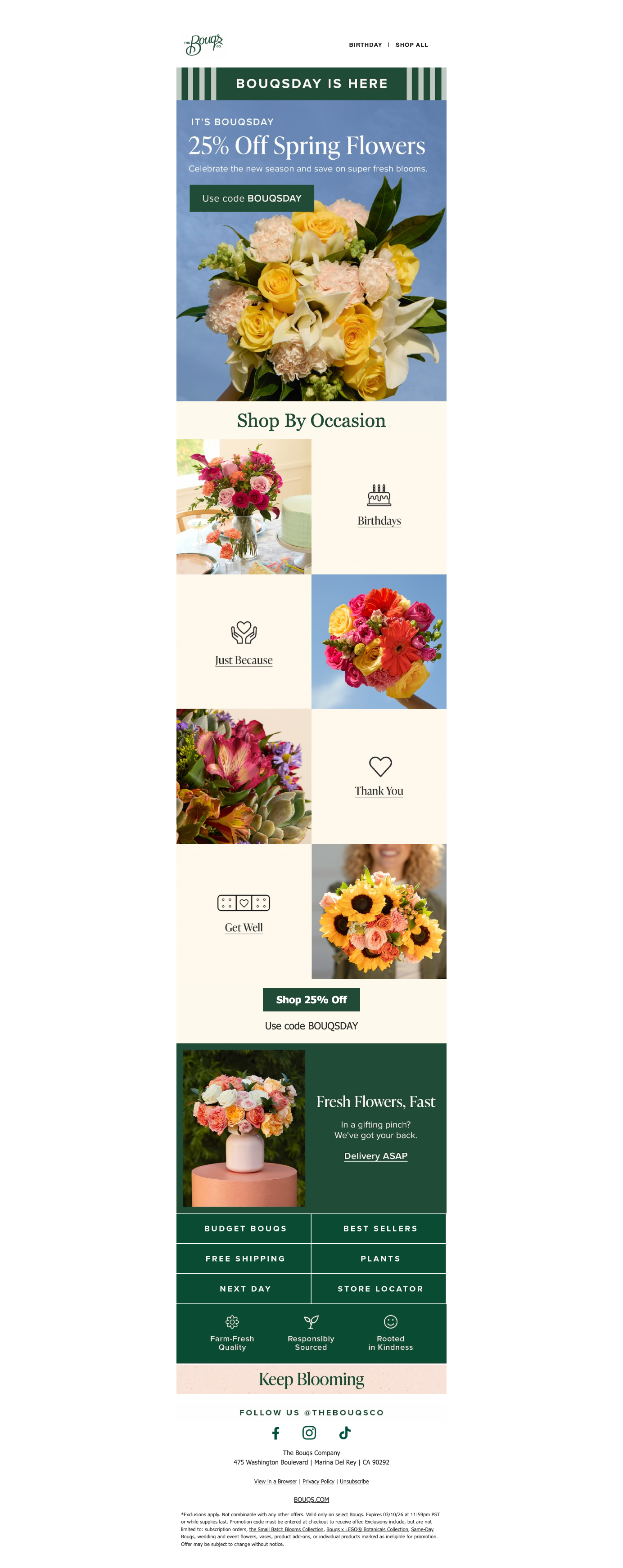 Spring-ready flowers, on sale now 