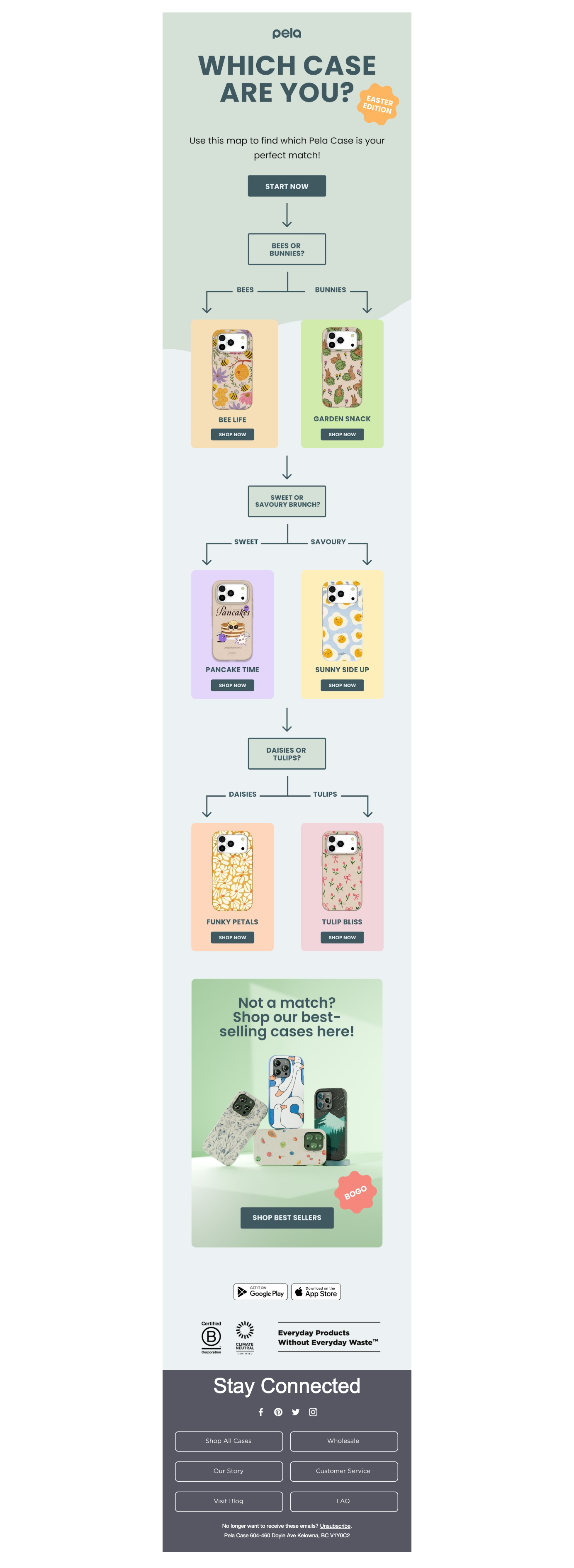 which case are you? easter edition! 