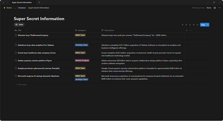 Notion Database mit M&A Informationen