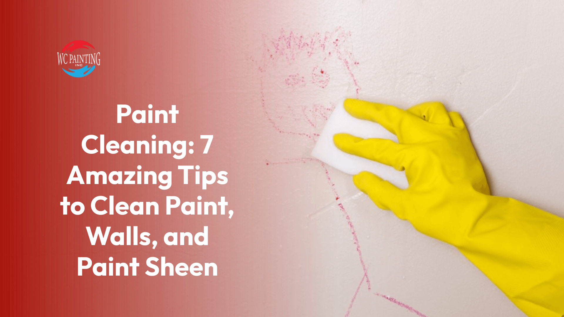 Paint Cleaning: 7 Amazing Tips to Clean Paint, Walls, and Paint Sheen