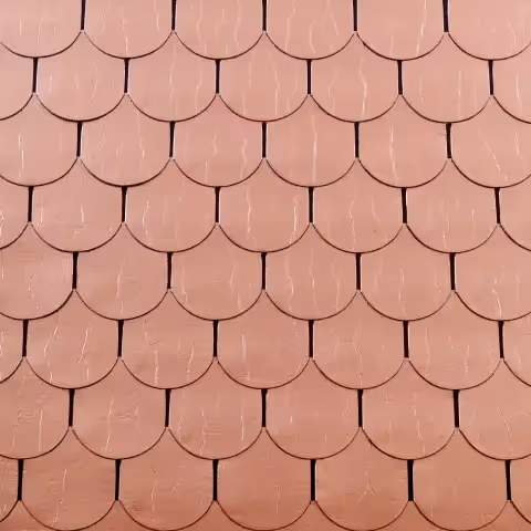 Бітумна черепиця Tegola Tradition [ l&bud ]