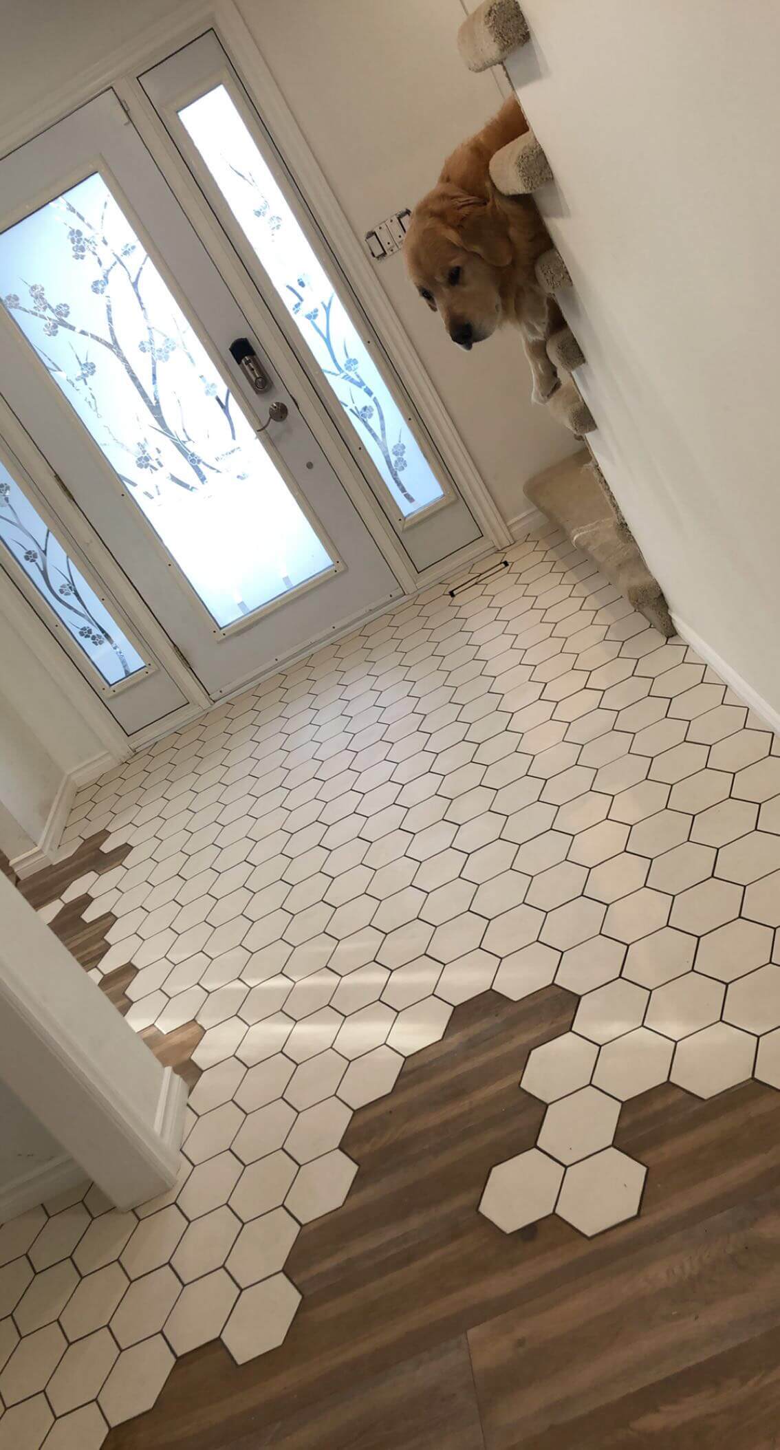 Fade in tiles pattern for entrance