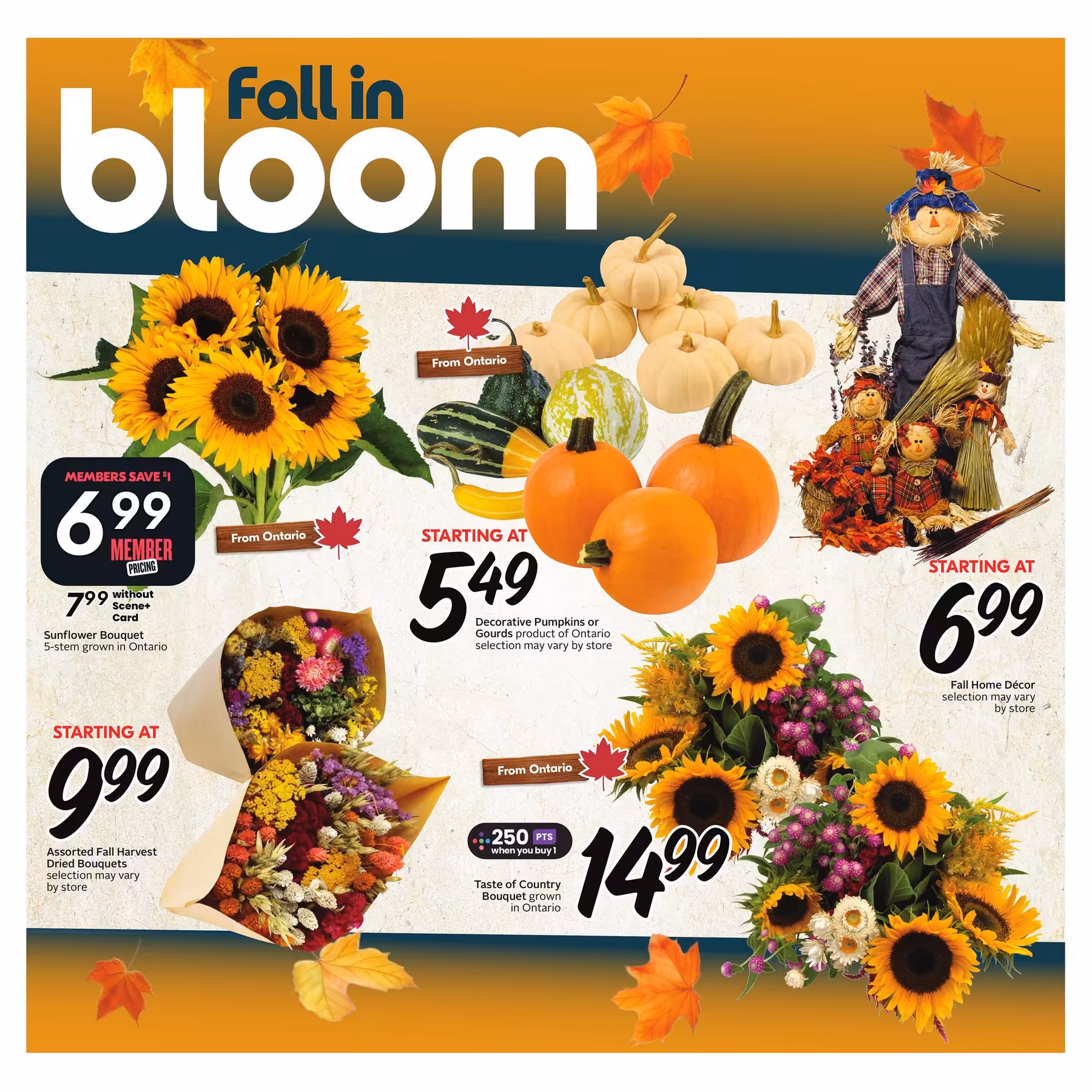 Sobeys flyer September 10 – September 16, 2026 - page 8 of 23