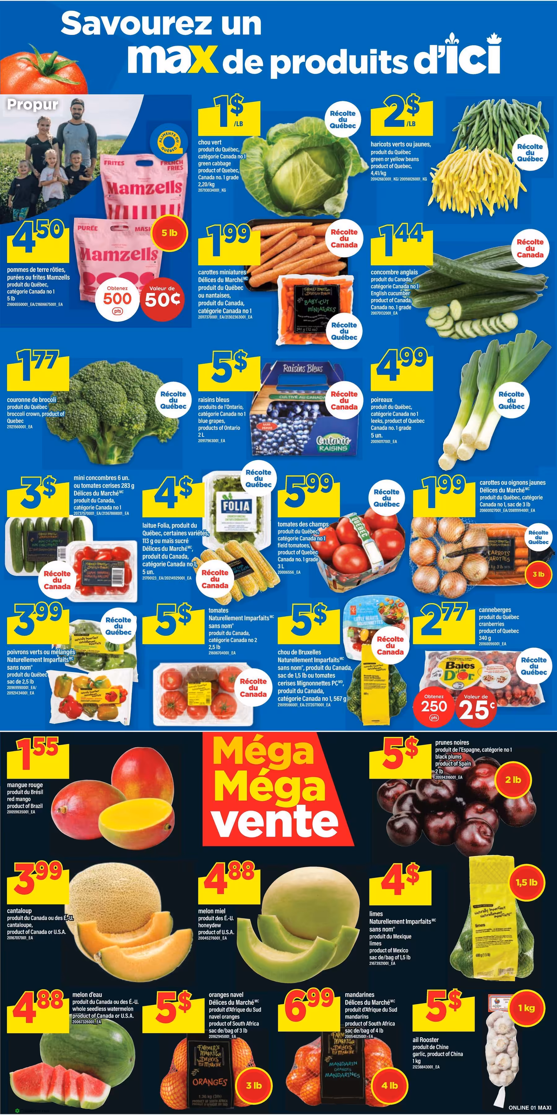 Circulaire Maxi du jeudi 17 septembre au mercredi 23 septembre 2026 - page 5 of 14