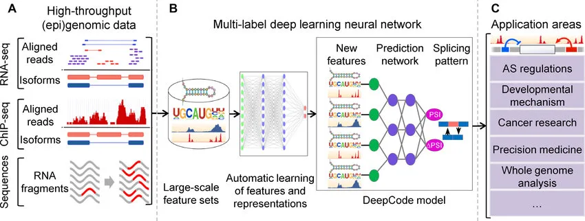 Diagram of a deep learning model used for bug detection