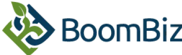 boombiz logo