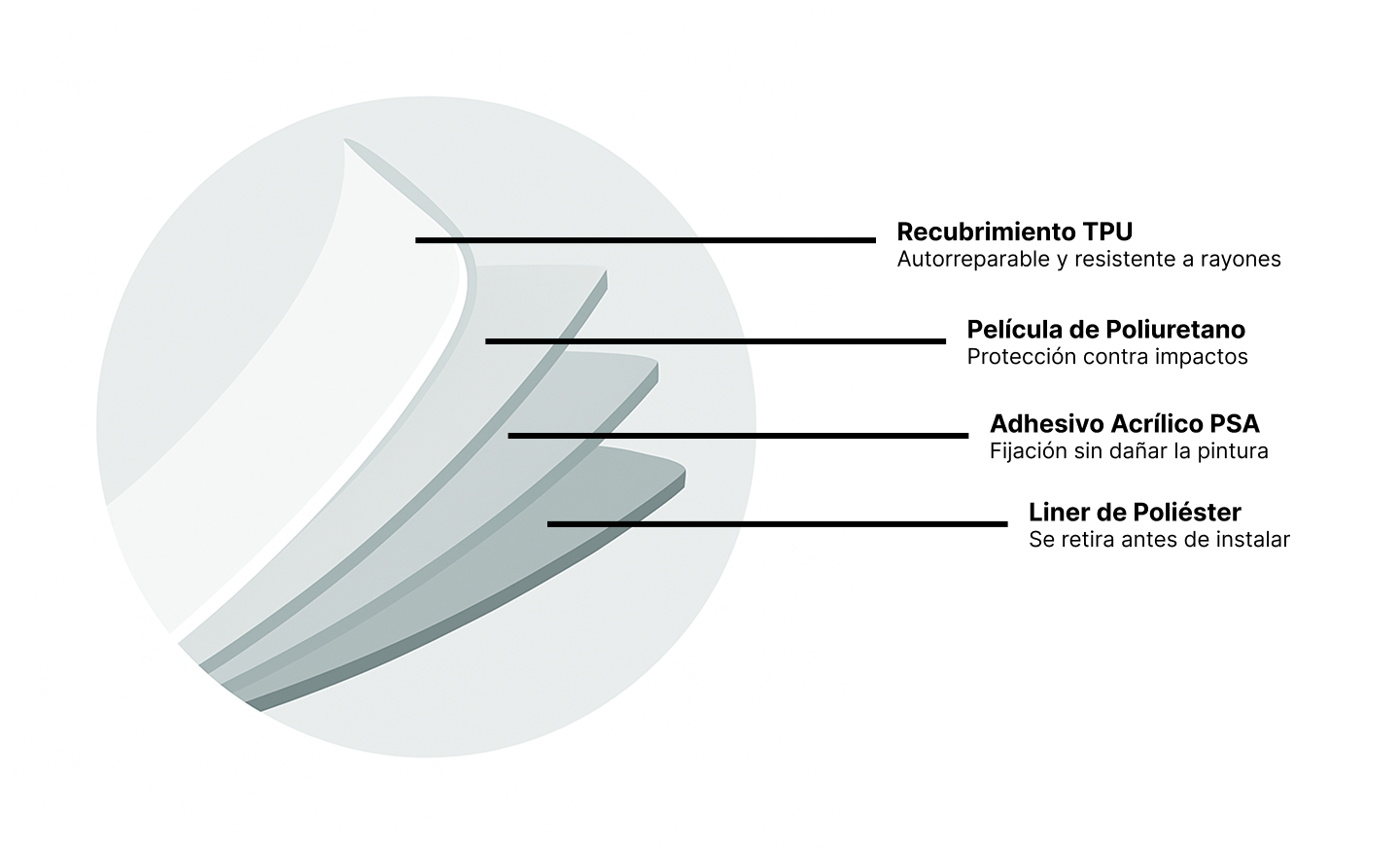 Diagrama de las 4 capas del PPF: recubrimiento TPU, película de poliuretano, adhesivo acrílico y liner de poliéster.