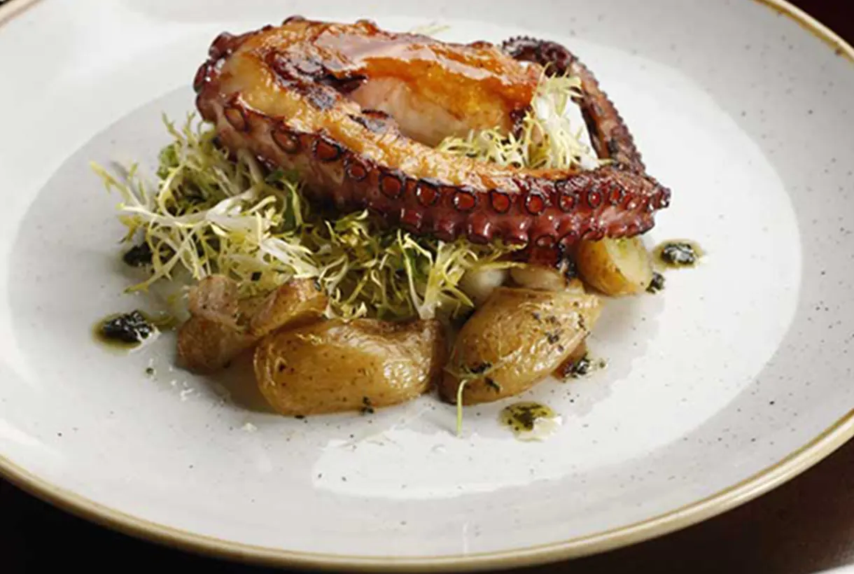 Tredici North; Italian Cuisine; https://www.tredicinorth.com