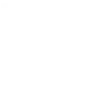 Google Partner