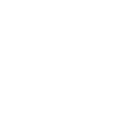 Meta Business Partner