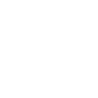 Thot SEO