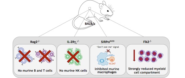 BRGSF Mouse Models