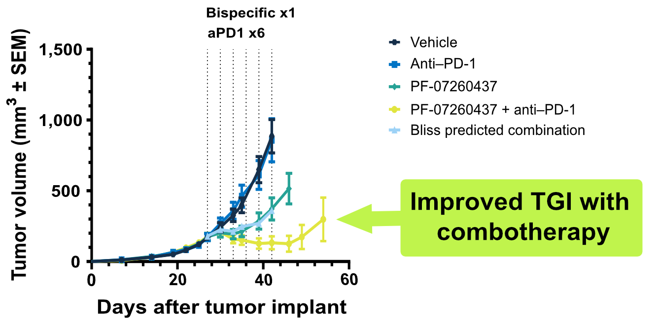 Graph of tumor volume over time showing improved tumor growth inhibition with combined PF‑07260437 and anti‑PD‑1 treatment compared with vehicle or single agents.