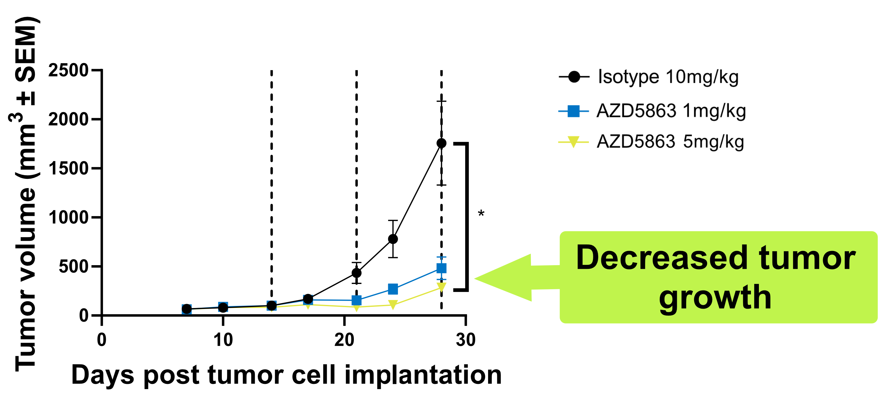 Graph of tumor volume over time showing dose‑dependent tumor growth inhibition with AZD5863 compared with isotype control, indicating reduced tumor growth at higher doses.