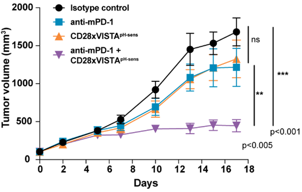 Graph of tumor volume over time showing strongest tumor growth inhibition with anti‑mPD‑1 combined with CD28xVISTA, compared with isotype control or single treatments, with significance indicated.
