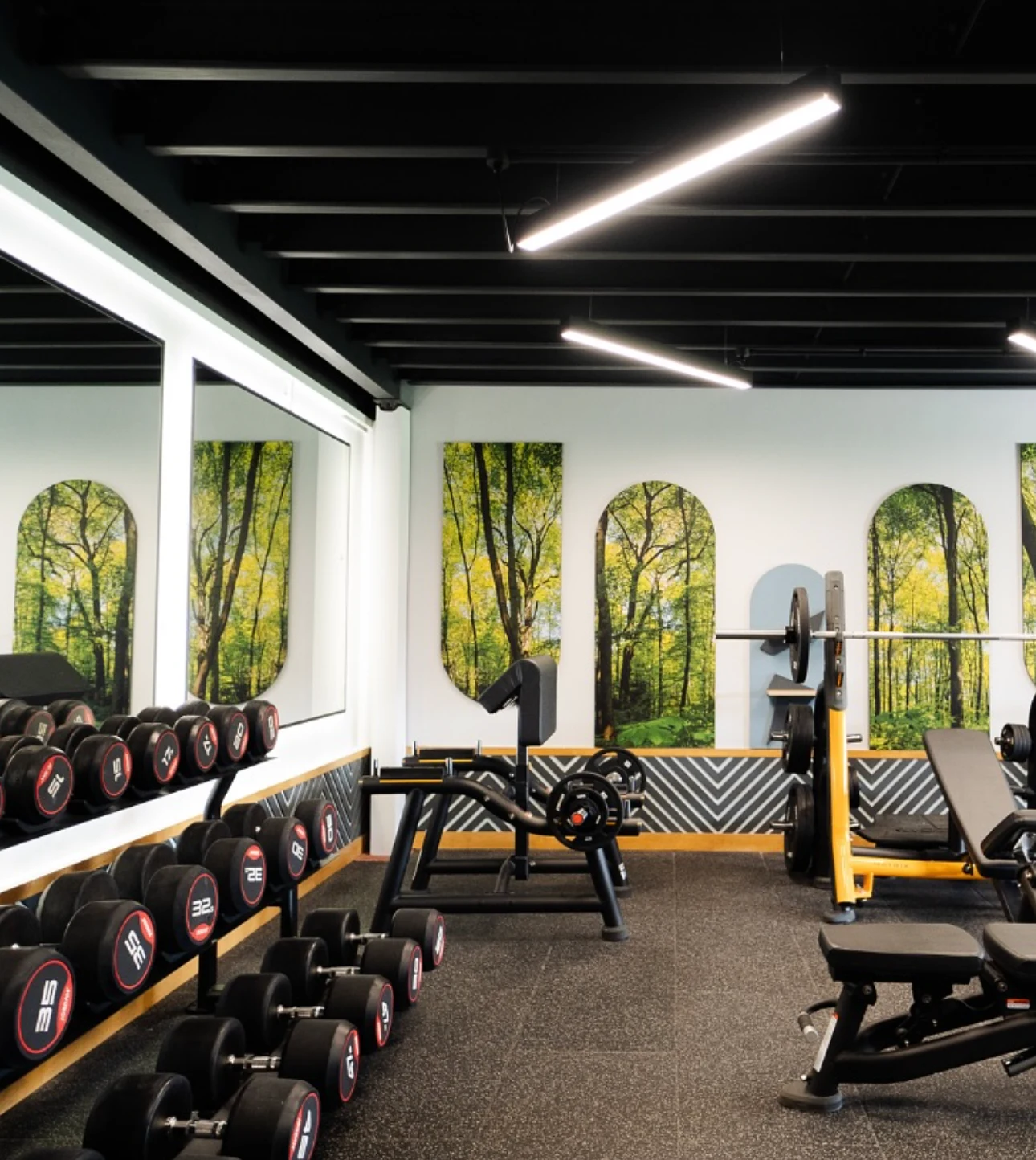 Builder in East Sussex