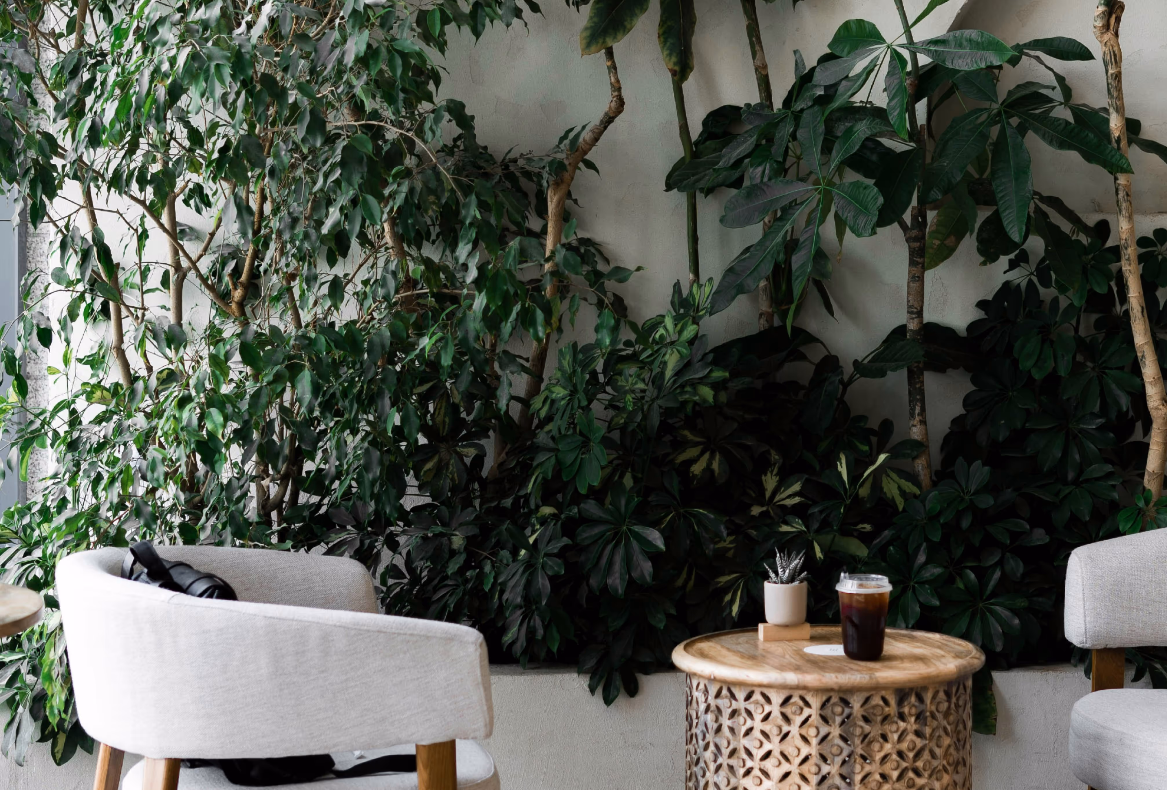 Meeting room view of two white armchairs with table coffee and green wall next to this seating area.
