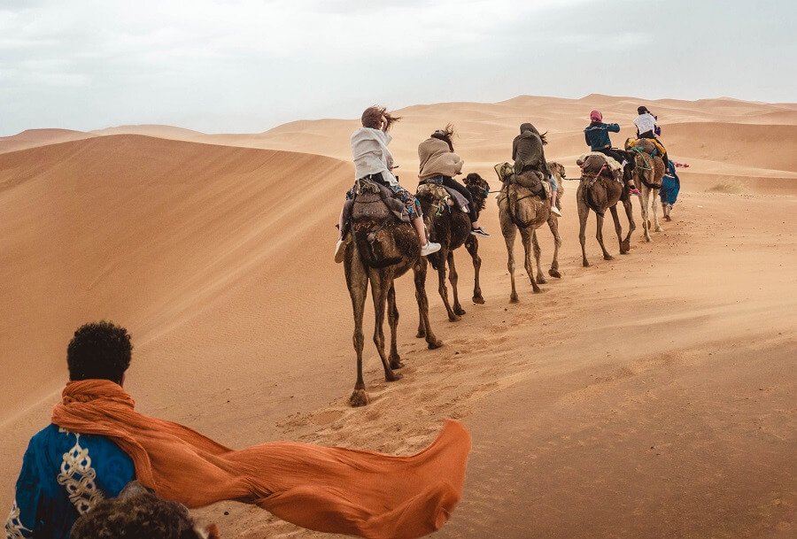 large group tours