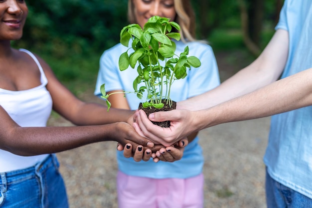 responsable du developpement communautaire durable
