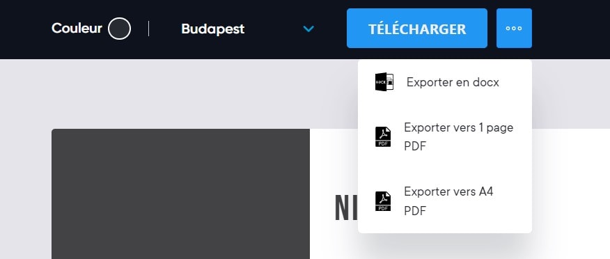 capture d'image d'une sélection d'options Exporter