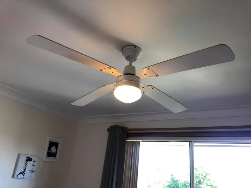 ceiling fan clean up