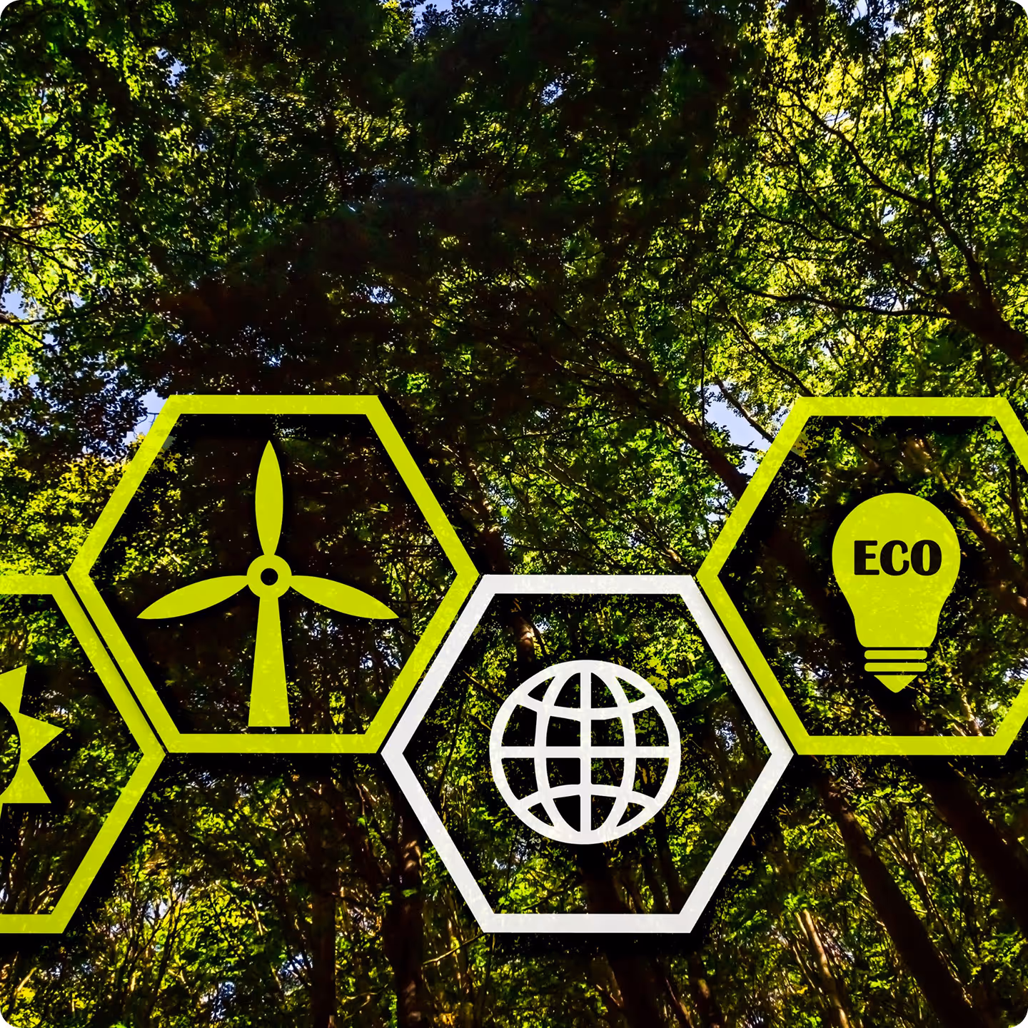 Hexagonal icons of a wind turbine, globe, and eco light bulb over a leafy green forest background.