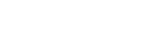 BrandRap logo in black and white with stylized text.