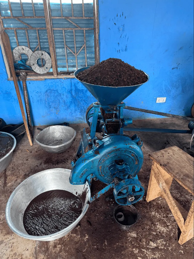 Blue mechanical grinder processing brown shea nuts into shea butter in a rustic room with metal bowls and wooden stool nearby.