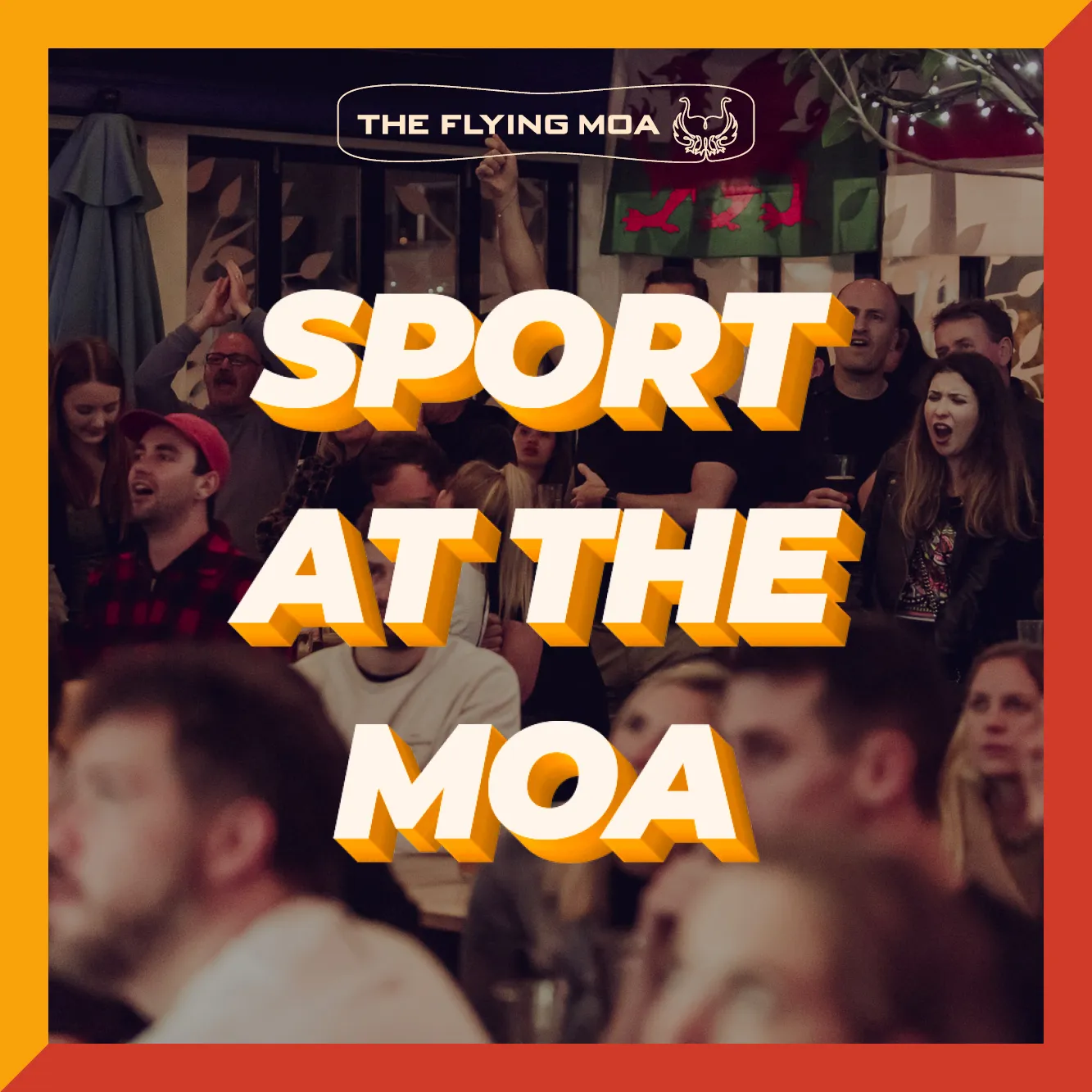 Sport at The Moa