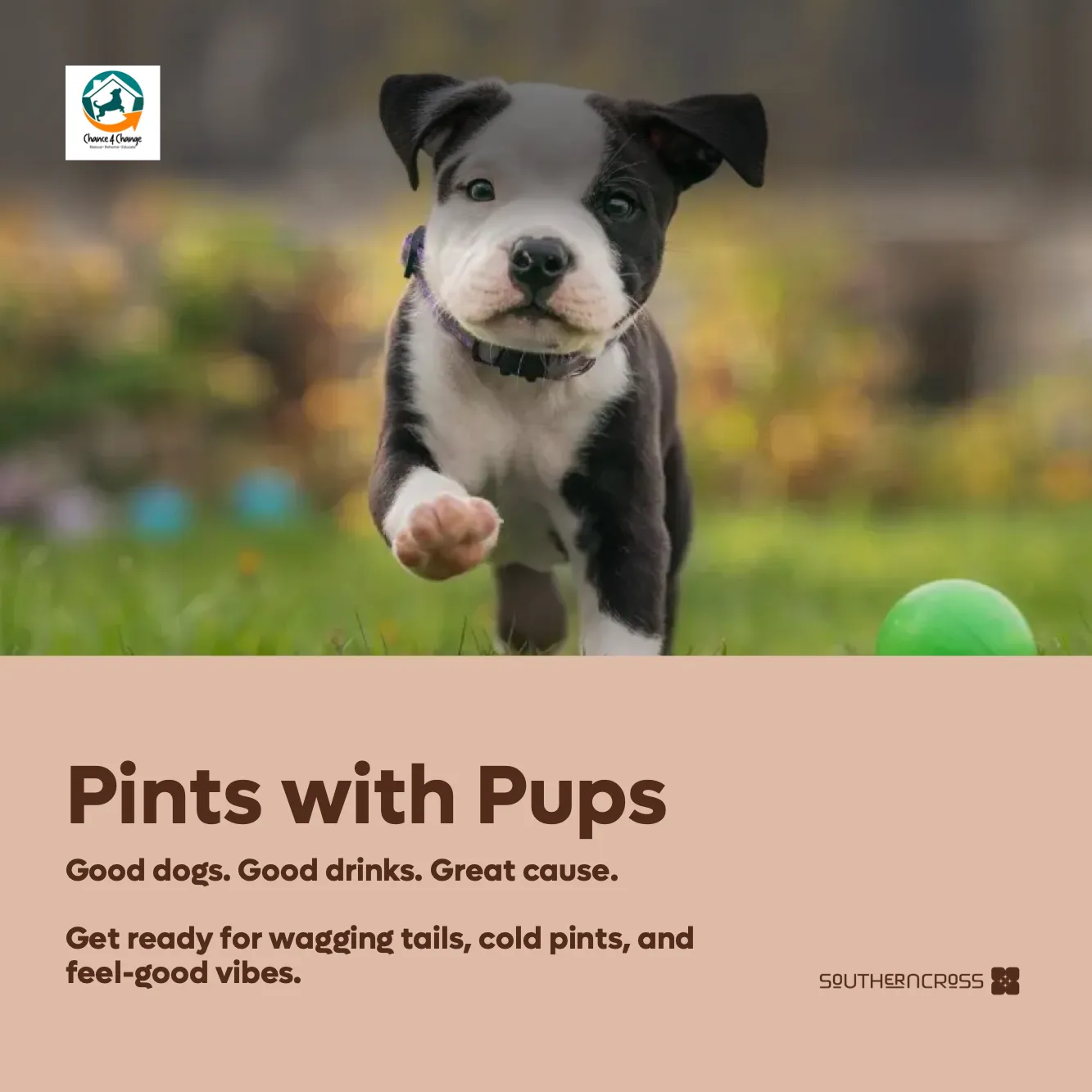 Pints with Pups