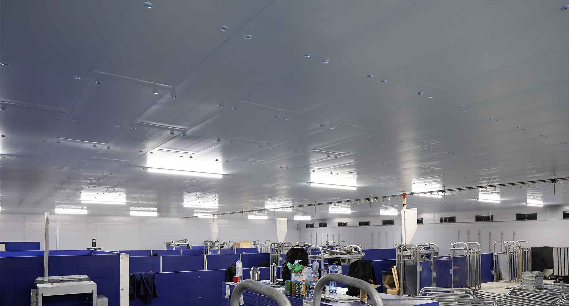 Sufit dużej chlewni wyłożony jasnymi panelami izolacyjnymi XPS AGRO z widocznymi mocowaniami; poniżej znajduje się wyposażenie hali oraz oświetlenie LED rozmieszczone równomiernie wzdłuż pomieszczenia.