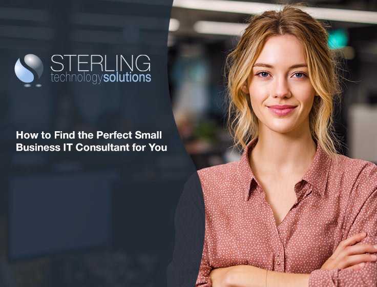 it consultant for small business