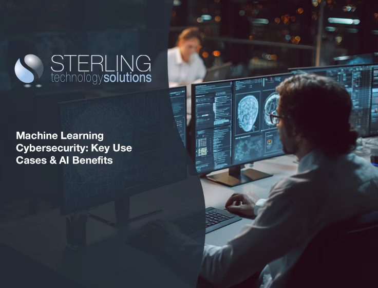 IT security agent working on his powerhouse software. 