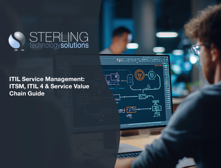 IT security agent working on his powerhouse software. 