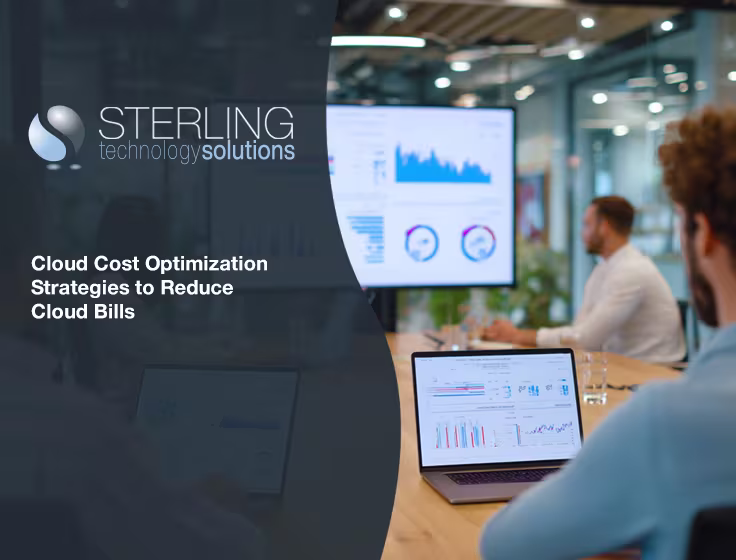 IT security agent working on his powerhouse software. 