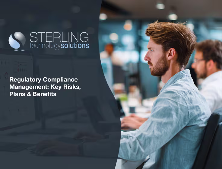 IT security agent working on his powerhouse software. 