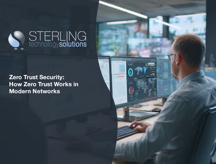 IT security agent working on his powerhouse software. 