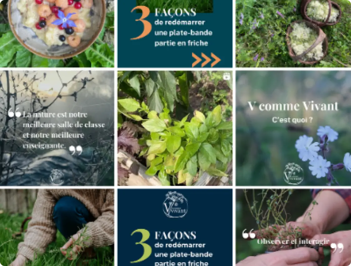 Exemple de réalisation : un feed instagram harmonisé et attractif pour V comme Vivant