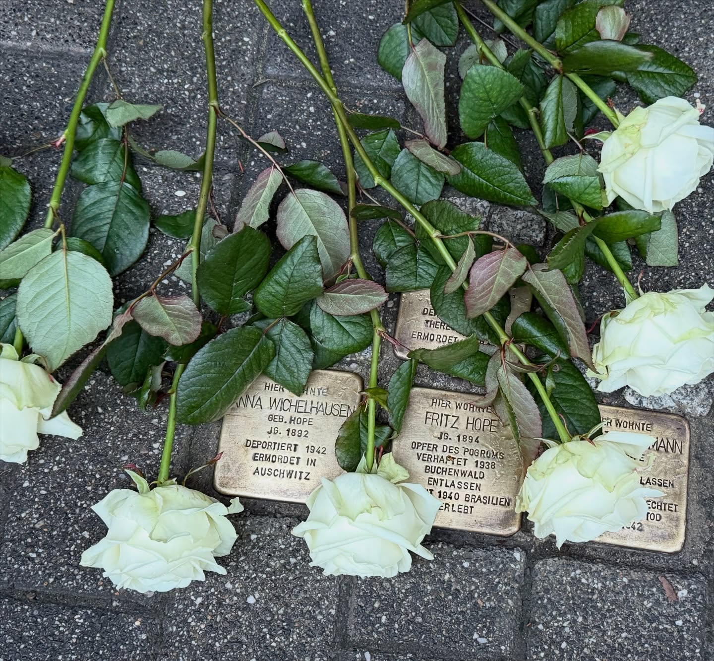 Beitrag 2025-11-09T22:01:57.000Z