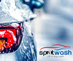 Spot Wash Car & Dog Wash