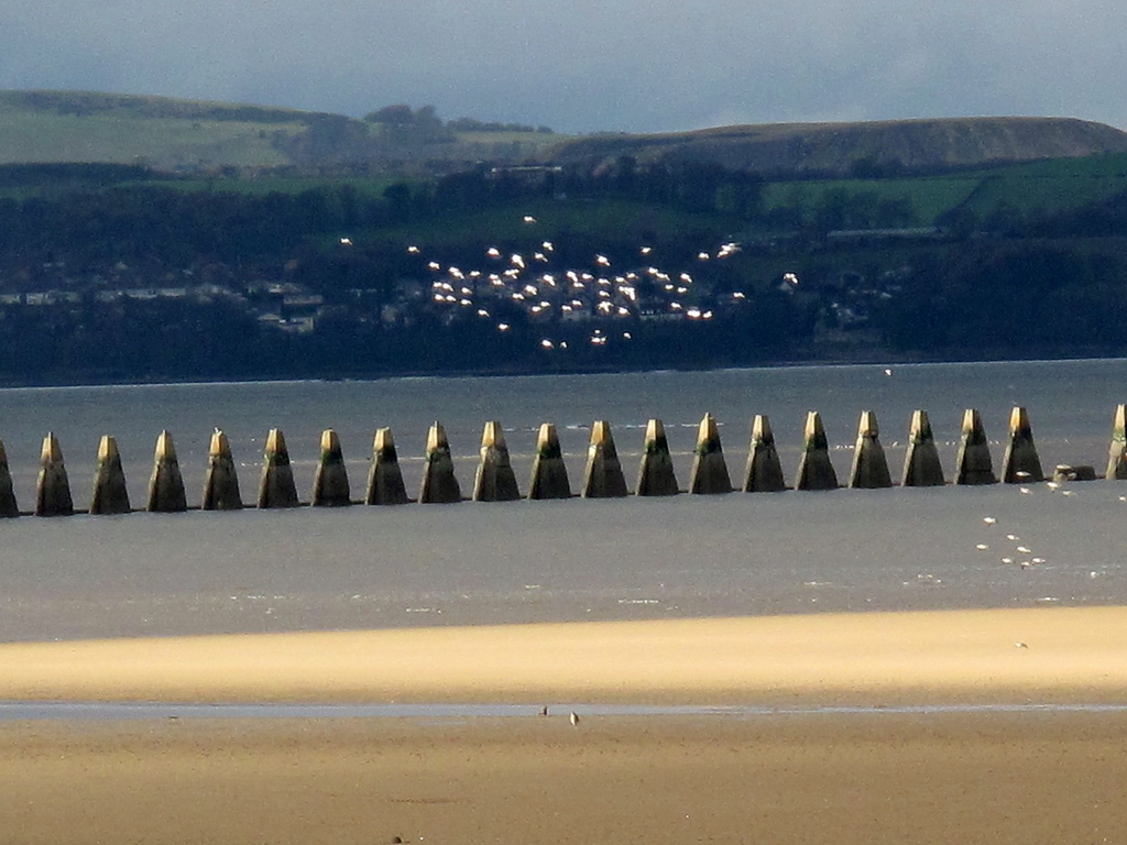 From Entrepreneurial to Purposeful