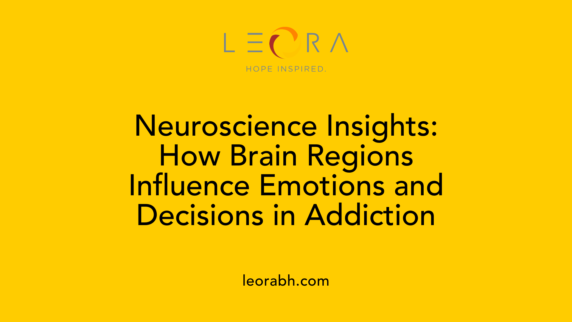 Neuroscience Insights: How Brain Regions Influence Emotions and Decisions in Addiction