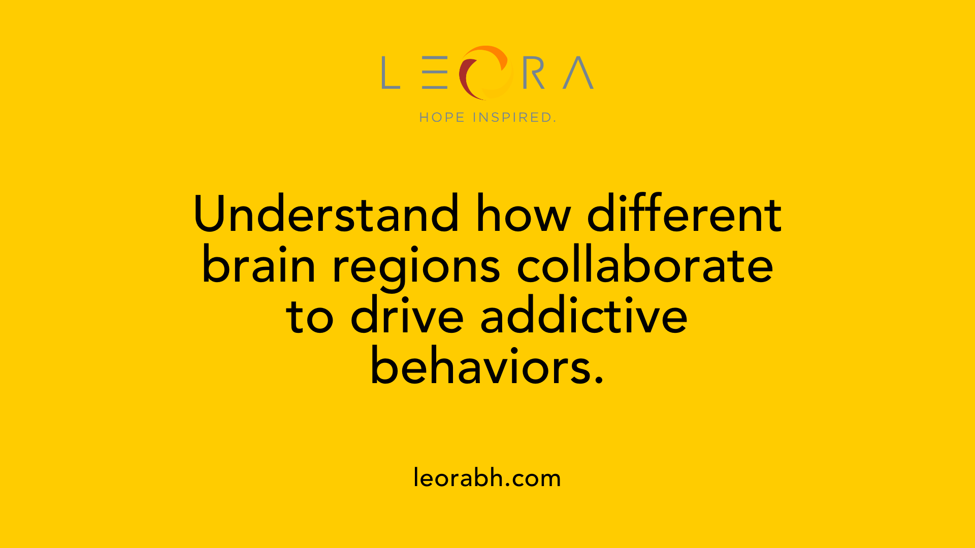 Understand how different brain regions collaborate to drive addictive behaviors.