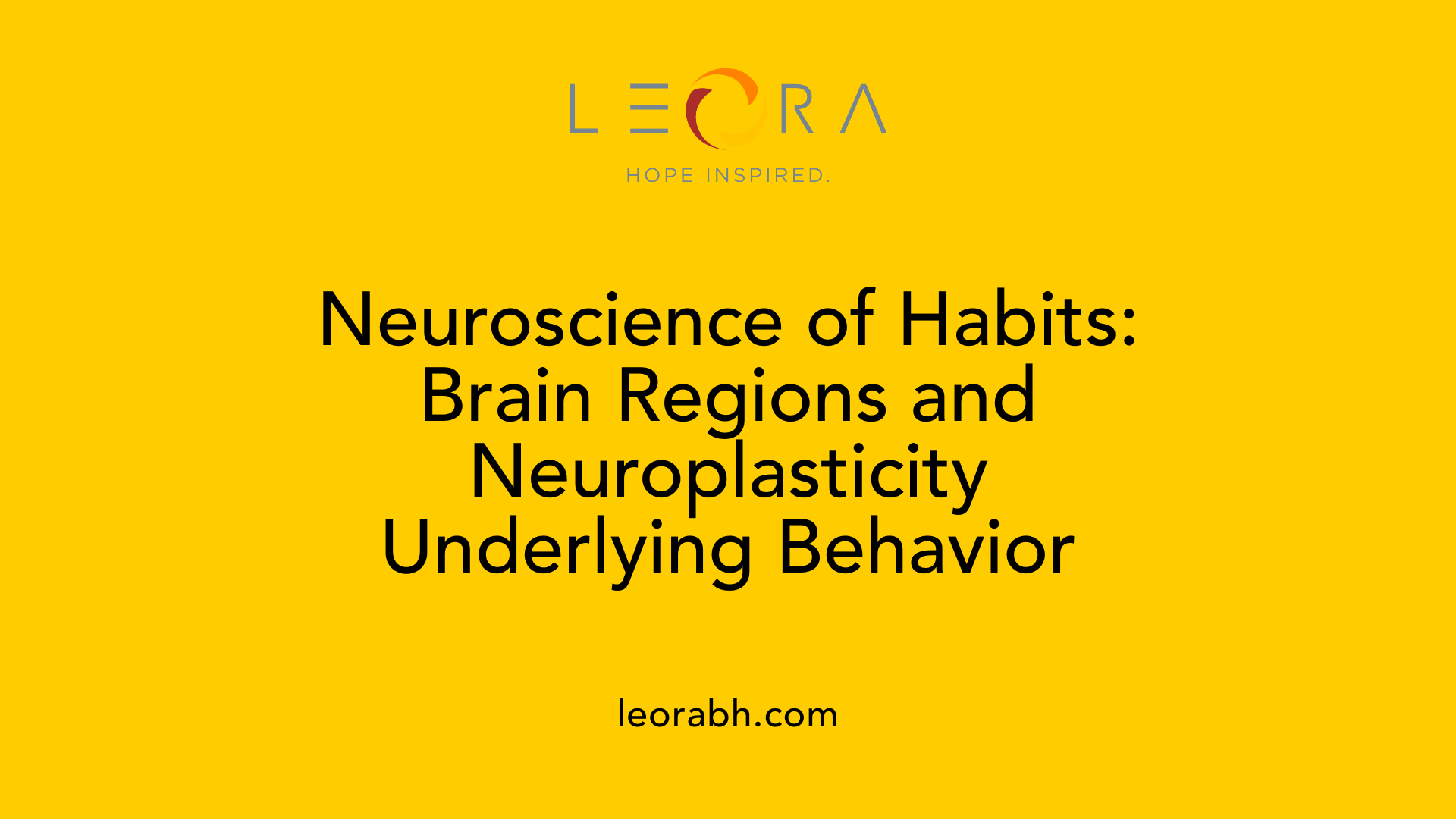 Neuroscience of Habits: Brain Regions and Neuroplasticity Underlying Behavior