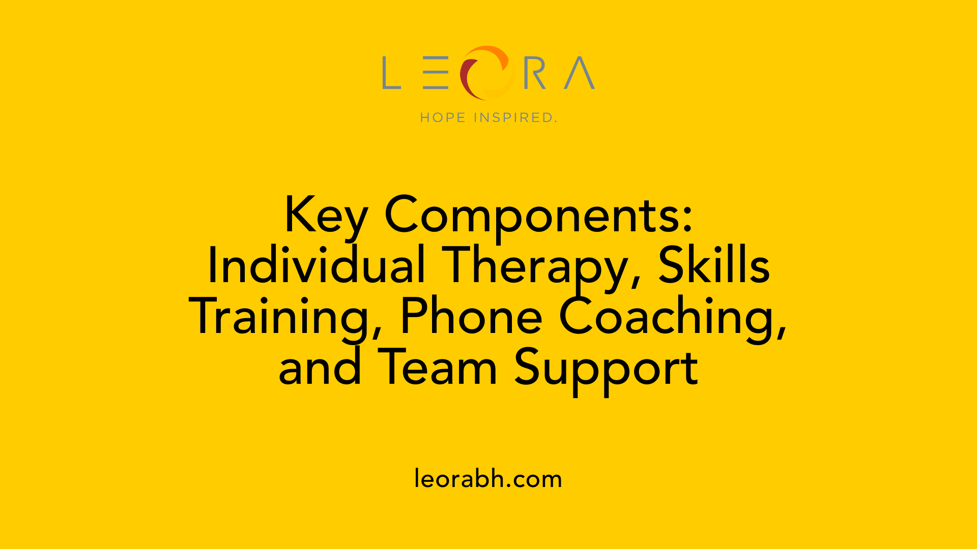 Key Components: Individual Therapy, Skills Training, Phone Coaching, and Team Support