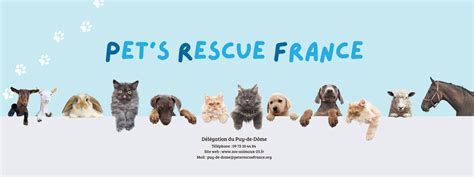 How Pet’s Rescue France is revolutionizing its call management with Volubile?
