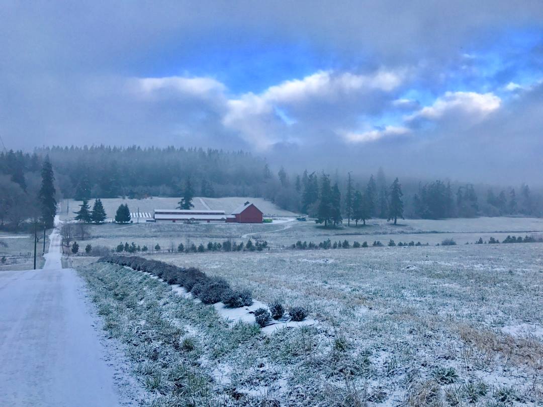 Kristoferson Farm with a fresh dusting of snow.