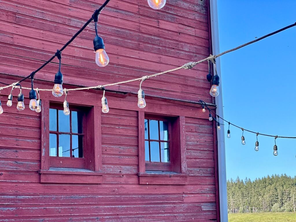 The side of our barn, strung with lights for an upcoming event.