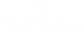 Bilzin Sumberg logo