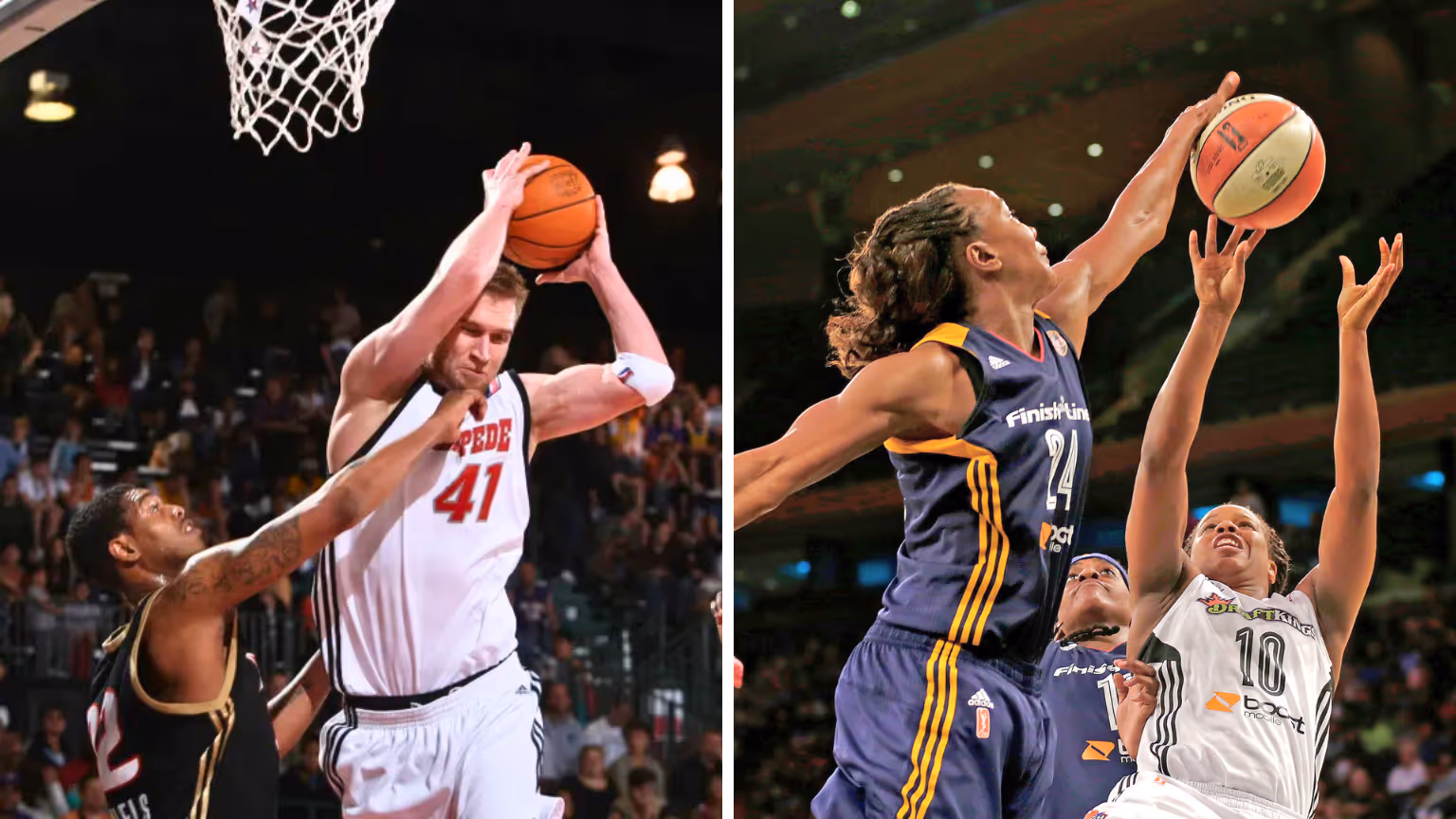 Split image: On the left, Lance Allred (in a white jersey, #41) grabs a rebound while guarded by opponents. On the right, Tamika Catchings (in a blue WNBA jersey, #24) jumps to block a shot while another player reaches for the ball. Both images highlight athleticism and intensity on the basketball court, showcasing elite Deaf and hard of hearing athletes in action.